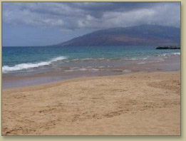 Maui Condo Rentals with ocean views 