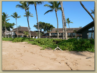 Maui Condo Rental, Maalaea Surf